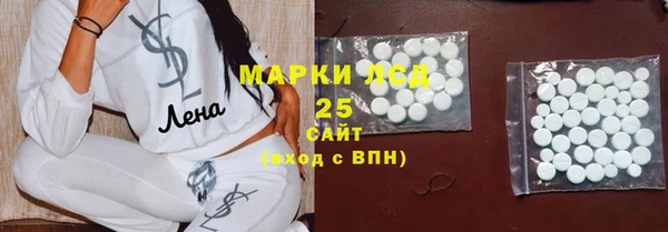 гидра Алексин