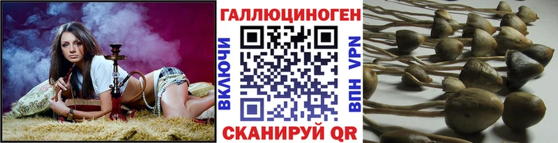 Галлюциногенные грибы мухоморы  Рошаль 