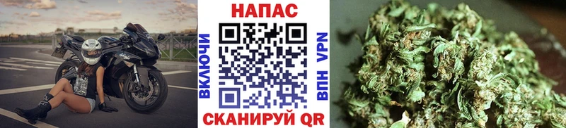 блэк спрут как войти Рошаль Бошки марихуана VHQ